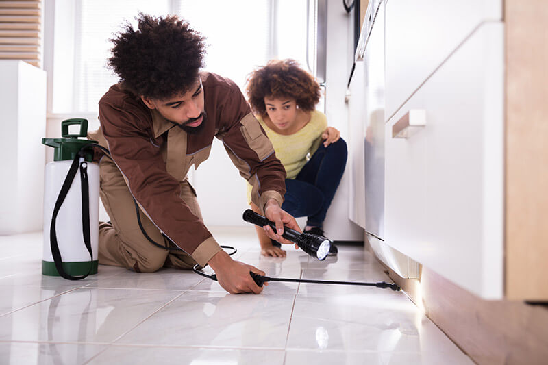 Termite Control