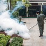 Mosquito Management
