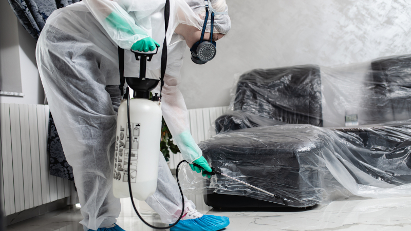 Four Things to Consider When Hiring an Exterminator