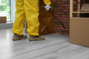 Reclaim your Home with Cockroach Removal