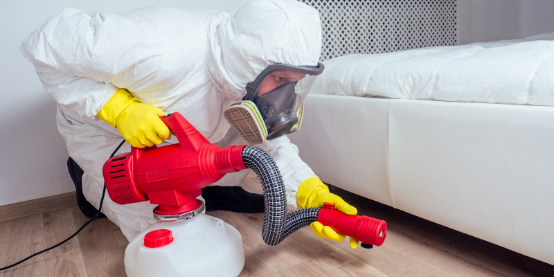 Bed Bug Protection in Durham, North Carolina