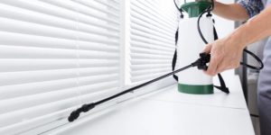 Why You Should Leave Pest Infestations to a Professional Exterminator