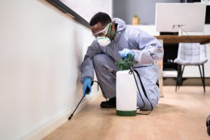 When Is the Best Time to Consider Pest Control?